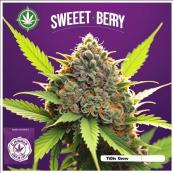 TiDis Grow: CBD Blüten Sweet Berry | Aroma: Leicht | Fruchtig Süß | CBD Anteil: 18,5% - ohne hinzugefügte Cannaboide